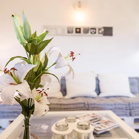 Semesterbostad La Luna Nel View Garden - Happy Ispra